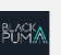 The Black Puma